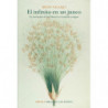 ANTIGUO (PREMIO NACIONAL ENSAYO 2020)