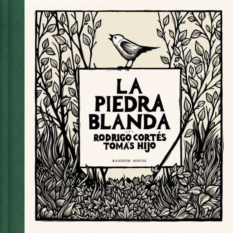 LA PIEDRA BLANDA