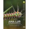 AMA LUR MIRESGARRIA