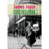 DUBLINDARRAK