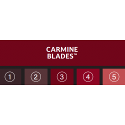 CARMINE BLADES