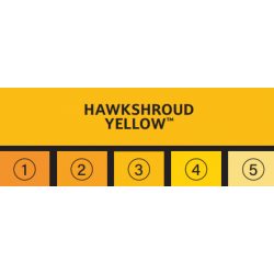 HAWKSHROUD YELLOW