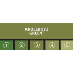 KRULEBOYZ GREEN
