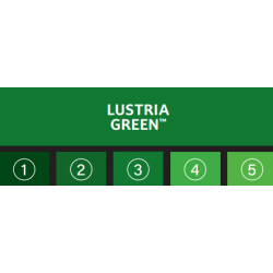 LUSTRIA GREEN
