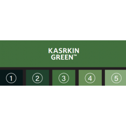 KASRKIN GREEN