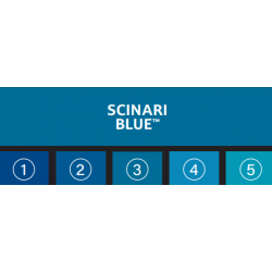 SCINARI BLUE