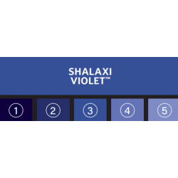 SHALAXI VIOLET