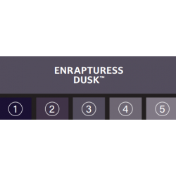 ENRAPTURESS DUSK