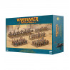 HOST OF NEHEKHARA ARMY REINFORCEMENT SET