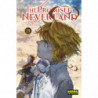 THE PROMISED NEVERLAND 19