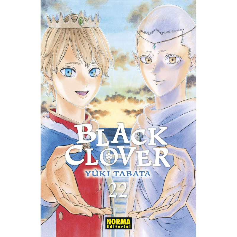 BLACK CLOVER 22