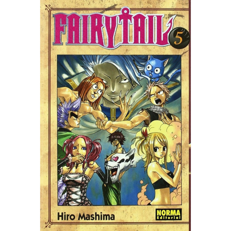 FAIRY TAIL 5