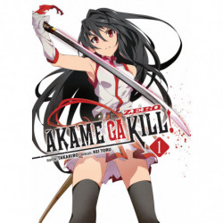 AKAME GA KILL ZERO!