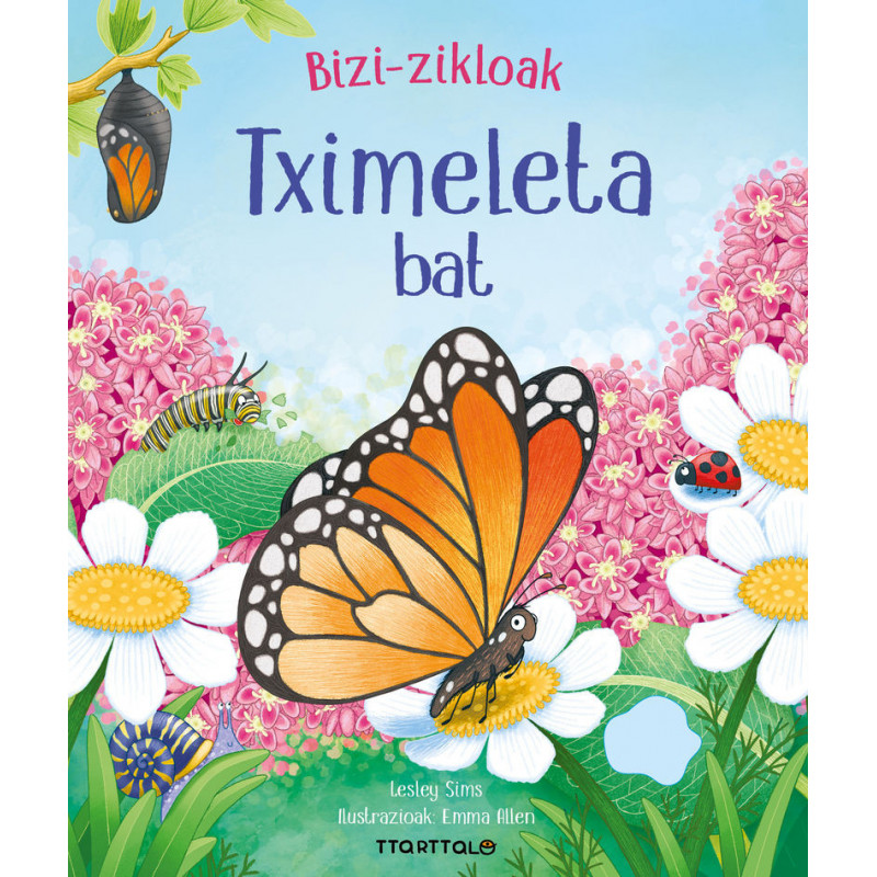 TXIMELETA BAT