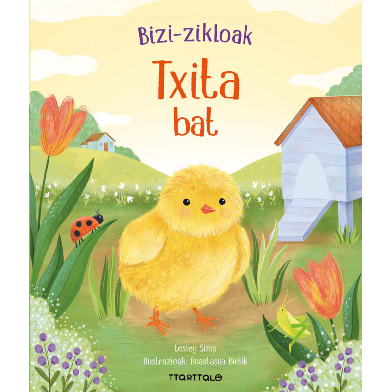 TXITA BAT