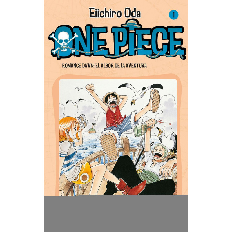 ONE PIECE 1