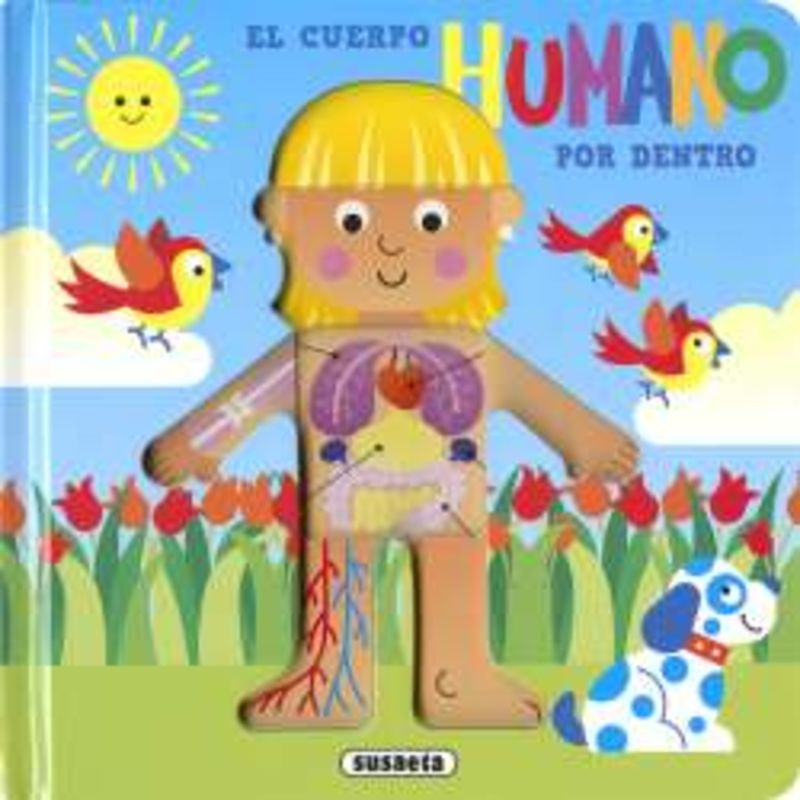 EL CUERPO HUMANO POR DENTRO - COMO ES POR DENTRO EL CUERPO HUMANO POR DENTRO - COMO ES POR DENTRO