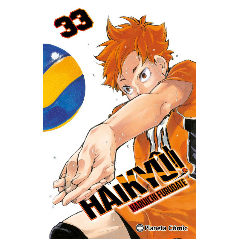 HAIKYU!! 33 / 45