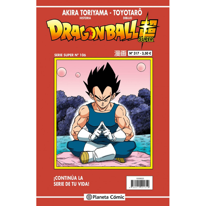 DRAGON BALL SERIE ROJA 317