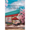 LAS MARAVILLAS DE LA TIENDA DE CHEONGPA-DONG