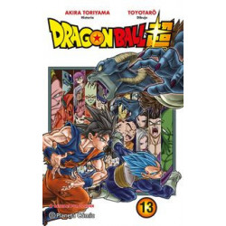 DRAGON BALL SUPER 13