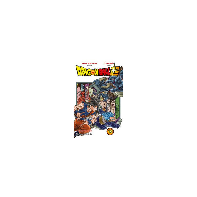 DRAGON BALL SUPER 13