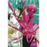 CHAINSAW MAN 7