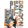 DRAGON BALL (ILUSTRACIONES COMPLETAS DE LUJO) (NUEVA EDICION)