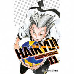 HAIKYU!! 11 / 45