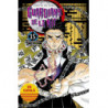 GUARDIANS DE LA NIT 15 (CAT)