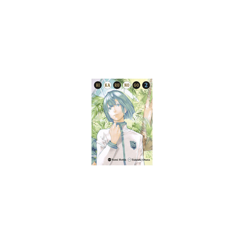 HIKARU NO GO 2