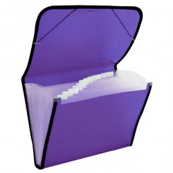 Carpeta A4+ con Gomas y Fuelle 12 sep - VIOLETA