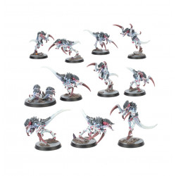 Kill Team: Tifón