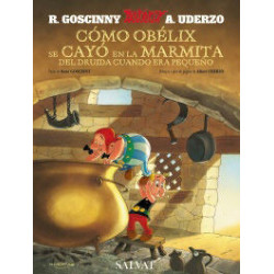 COMO OBELIX SE CAYO EN LA MARMITA