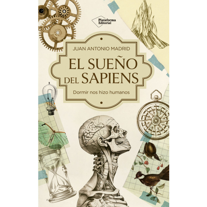EL SUEÑO DEL SAPIENS