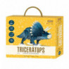 TRICERATOPS - DINOSAURIOS 3D