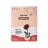 Puzzle 3D Camelia