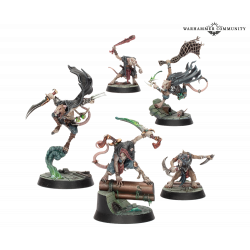 Set BANDAS: Rapaces de la ruina