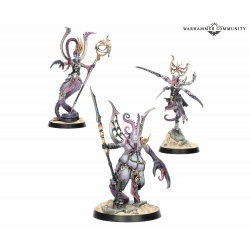 Set BANDAS: Rapaces de la ruina