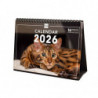 2026 * Desk Calendars Intl