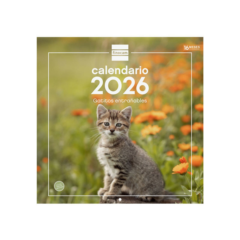 2026 * Calendario Pared 30X30 Gatitos