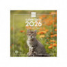 2026 * Calendario Pared 30X30 Gatitos