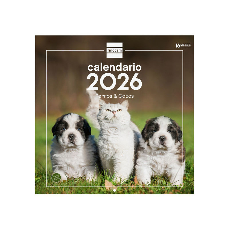 2026 * Calendario Pared 30X30 Perros Y Gatos