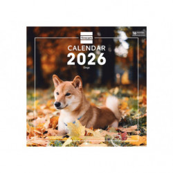 2026 * Wall Calendar 30X30 Dogs Intl