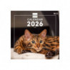 2026 * Wall Calendar 30X30S Intl