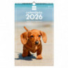 2026 * Calendario Pared Espiral 25X40 Cachorros