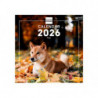 2026 * Wall Calendar 18X18 Dogs Intl