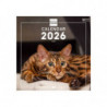 2026 * Wall Calendar 18X18S Intl