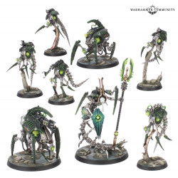 Comando Círculo Canóptico