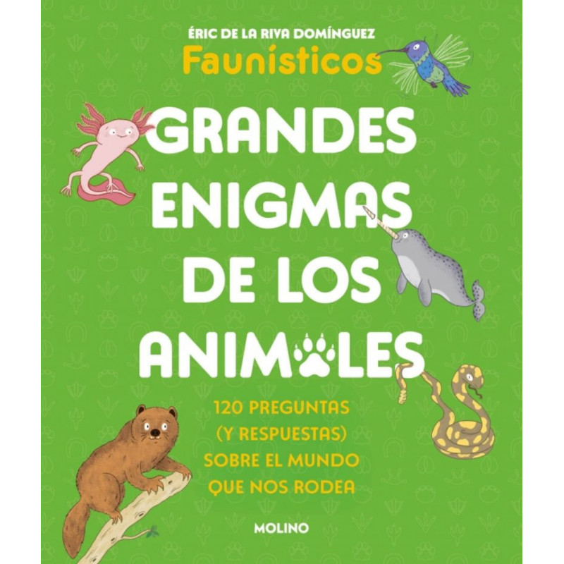 GRANDES ENIGMAS DE LOS ANIMALES (COLECCION GRANDES ENIGMAS)